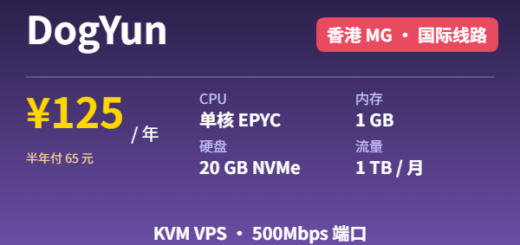 DogYun KVM VPS 香港MG 125元/年