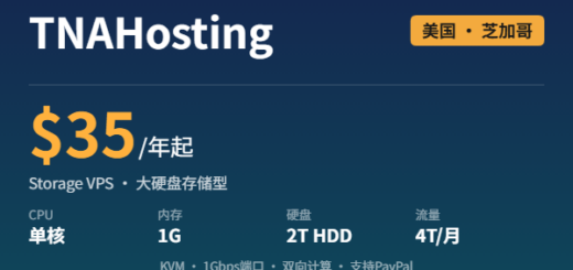 TNAHosting Storage VPS 芝加哥