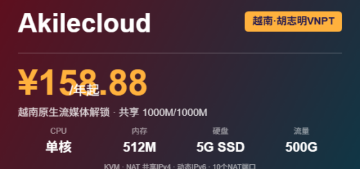 Akilecloud 越南胡志明 VNPT NAT 优惠