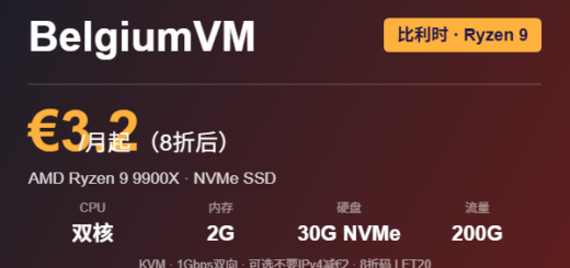 BelgiumVM 比利时 Ryzen VPS 优惠