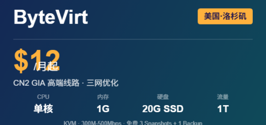 ByteVirt洛杉矶CN2 GIA VPS优惠
